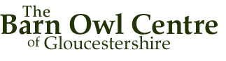 The Barn Owl Centre of Gloucestershire